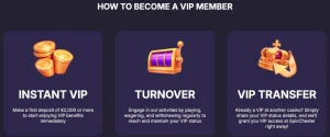 spinchester casino vip
